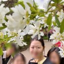곤지암 화담숲 평일 후기 모노레일 예약 방법, 씨드그린 카페, 번지없는 주막 즐기기