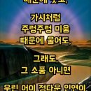 사랑의 조건 ( 최유나 노래 ) 이미지