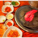 토종한우농장 네이버블로그