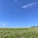 중천농장 이미지