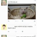 PC야 놀자1 이미지