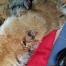 하이얀세탁전문점 | 확실하고 깨끗하게 카페트세탁 전문점 찾는다면 세탁광장하이얀마을