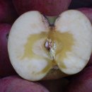 충남 예산産 꿀박힌 흠집王사과(부사) 판매합니다 -판매종료- 이미지