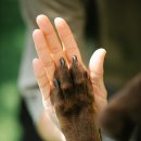 주식회사 패투헤븐 | 전국 반려동물(강아지 고양이 등) 전용 장례식장 납골 화장 건조장 시설 정보