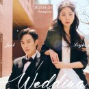 🍇연극뮤지컬달글 269🍇 THIS PLAY IS A LIE 이미지