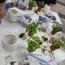 백양종합사회복지관 이미지