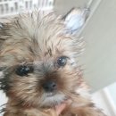 금나래동물병원 이미지