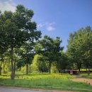 다산생태공원 이미지