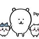 비점솔루션 네이버블로그