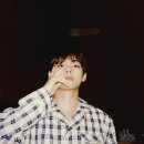 강아지랑고양이 이미지