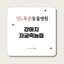 두근동물병원 네이버블로그