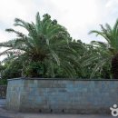 카세로지 이미지