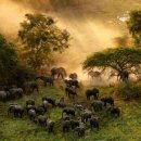 카라동물병원 이미지