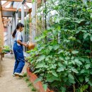 텃밭가든 이미지