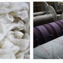 원단양농장 이미지