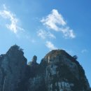 사람과 도시 행정사사무소 이미지