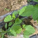 해원농장 이미지