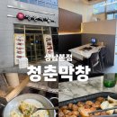 성산막창 | 상남동 청춘막창에서 한우곱창, 대창, 초벌돼지막창 구워주는 찐 맛집 후기