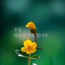 송림공인중개사사무소 이미지