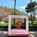 석봉초교 | 대덕물빛축제 (with 2023 대청호대덕뮤직페스티벌) 생생 후기