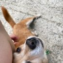 비동스테이민박 이미지