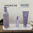 민디테일 | 다산역 미용실 우앤민헤어 다산역점 탄력펌후기