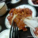 뉴멕시칸 이미지