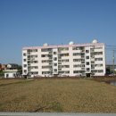 삼일로1-5 이미지