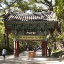 보경AD