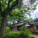 [경북 예천 1박2일 여행후기] 예천의 귀한 문화유산과 자연에서 고매한 향기를 느끼다 ; 초간정, 금당실...