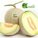 멜론 이미지