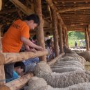 구산보건진료소 이미지