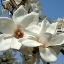 고래등공인중개사사무소 이미지