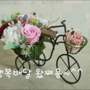 빵긋 이미지