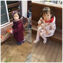 산새들어린이집 이미지