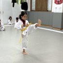 큰뿌리태권도 이미지