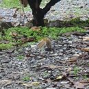 돌풍목장 이미지