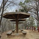 인천대공원역 Daum카페