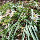 남해-144 이미지