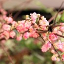 하늘꽃한의원 이미지