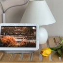 네스트의원 이미지