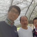 명창농장 이미지