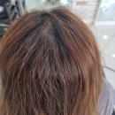 윤헤어 | 방학동 미용실 윤헤어 뿌리 염색 후기