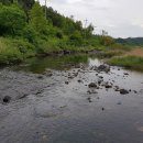 보성강1 이미지