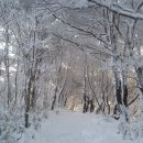 은빛세상 이미지