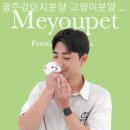 광주강아지분양 고양이분양 미유펫 본점 | [광주/분양샵] 광주강아지분양 고양이분양 미유펫 광주본점 아이들과 함께 키우기 좋은 강아지 분양샵