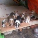 세광농장 이미지