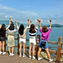 청춘 이미지