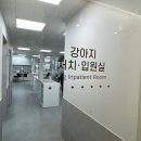 대구동물병원 이미지