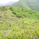 진주 솔산악회 제 114차 정기(제암산 사자산)철쭉산행 이미지